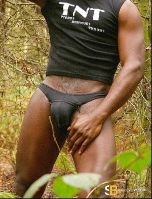 Gay Escort Thyrone 38yr - armpits