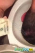 Escort Sling Boy Alan  23yr - sauna