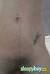 Bisexual Escort Eden 25yr - licking