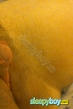 Bisexual Escort Eden 25yr - massage