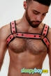 Gay Escort Davide 24yr - massage