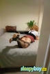 Escort Lilly Bella 29yr - licking