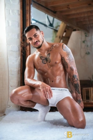 Gay Escort Tales_brazilian_xxl 22yr - trios