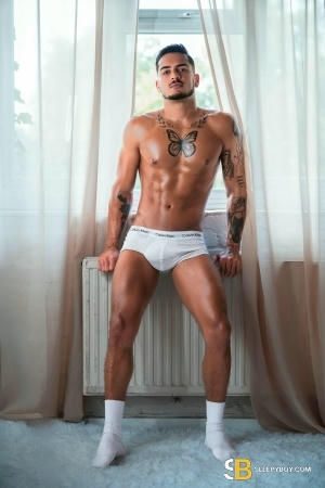 Gay Escort Tales_brazilian_xxl 23yr - trios