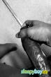 Bisexual Escort Kj 28yr - masseur