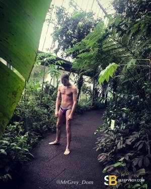 Escort Grey 24yr - massage