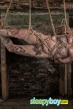 Gay Escort Vincent 45yr - massage