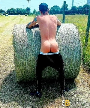 Gay Escort Rhys 29yr - massage