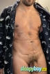 Gay Escort Gustavo 33yr - always safe sex