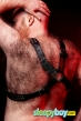 Bisexual Escort Ron 38yr - trios