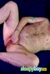 Bisexual Escort Ron 38yr - always safe sex