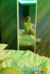 Gay Escort Neon 23yr - always safe sex