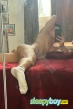 Gay Escort João 22yr - dirty talk