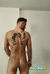 Gay Escort Connor 31yr - always safe sex