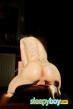 Gay Escort Artur 19yr - trios