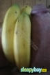 Bisexual Escort Jonny 42yr - double penetration