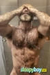 Gay Escort Marcus Owen 50yr - role