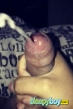 Bisexual Escort Josh 25yr - furries