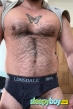 Bisexual Escort Andreas 35yr - shaving