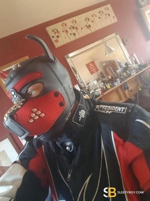 Bisexual Escort Terry 49yr - rimming