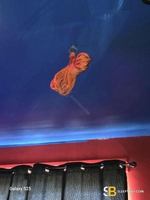 Bisexual Escort Mastermuckl 50yr - gangbang