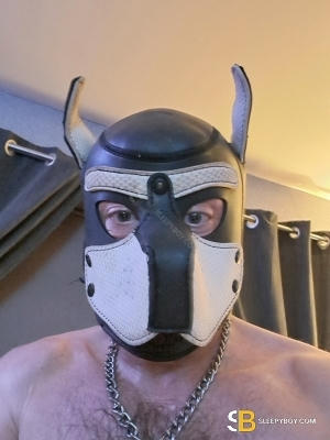 Bisexual Escort Terry 49yr - gangbang