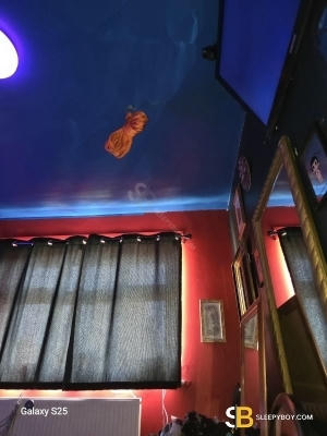 Bisexual Escort Mastermuckl 50yr - trios