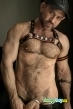 Gay Escort Beau 35yr - double penetration