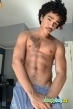Gay Escort Curly Bronze 23yr - role