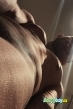 Gay Escort Phillip 30yr - licking