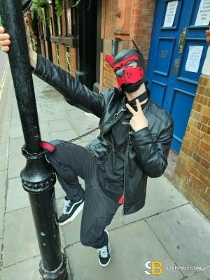 Gay Escort Leo 21yr - role