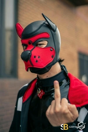 Gay Escort Leo 21yr - sucking