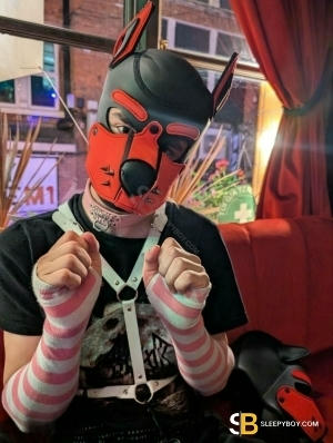 Gay Escort Leo 21yr - role