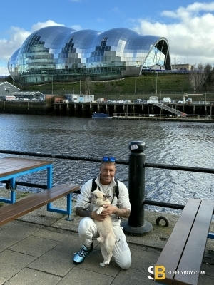 Gay Escort Gareth 35yr - licking