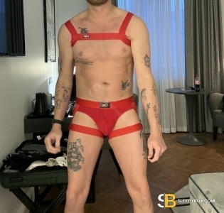 Gay Escort Ryan 32yr - role