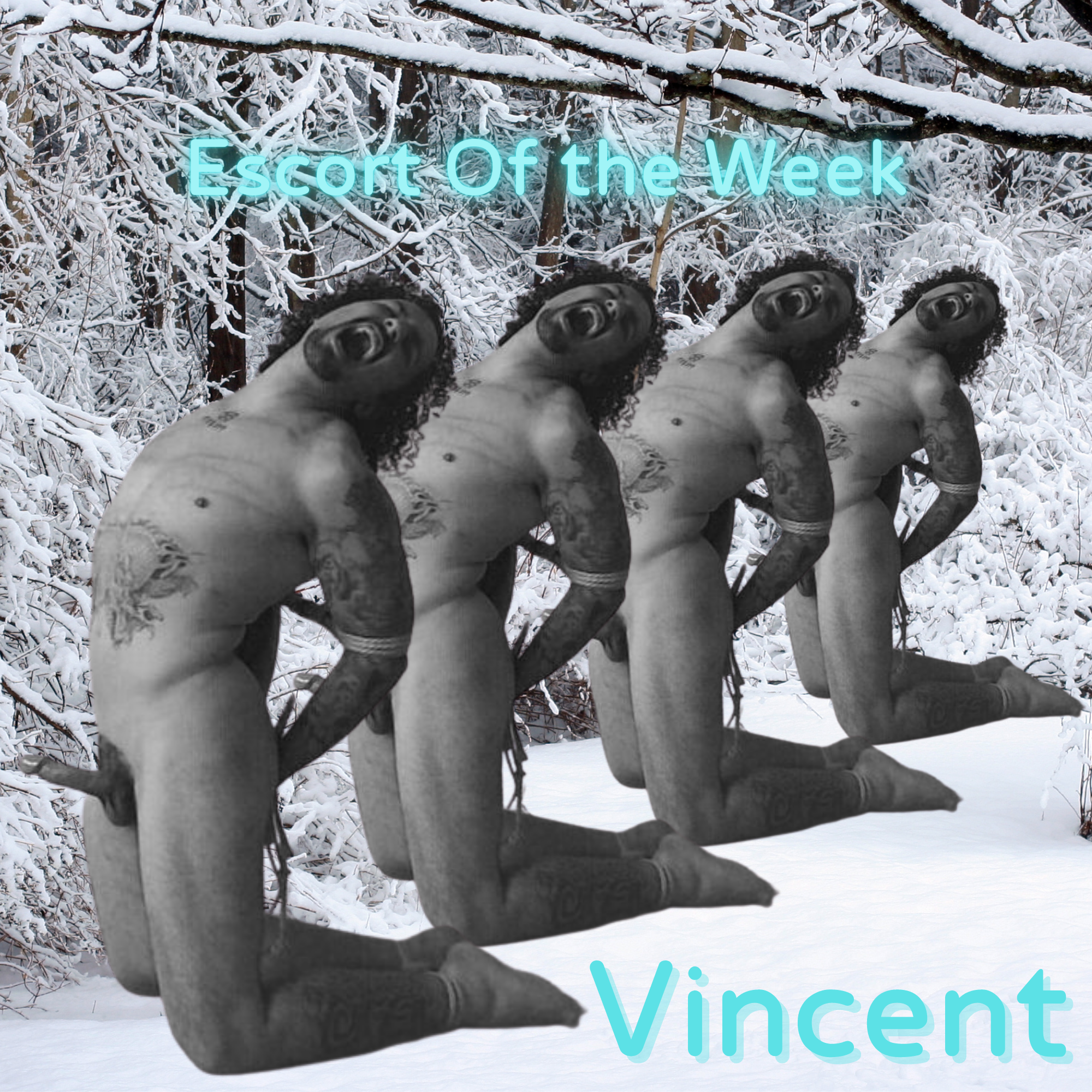 Vincent Escort of the week