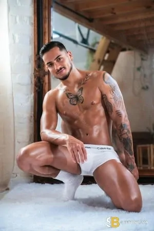 Gay Escort Tales_brazilian_xxl 22yr - trios