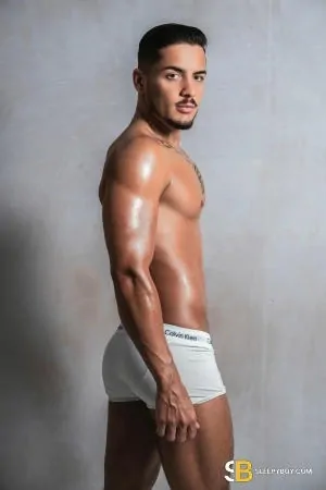 Gay Escort Tales_brazilian_xxl 22yr - trios