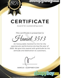 male escort Manchester Hansel