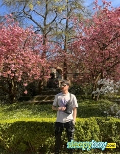 male rent boy Liverpool Willis