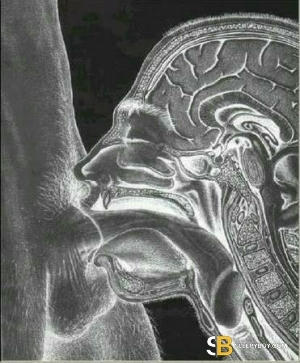 Bisexual Escort Jon 45yr - licking