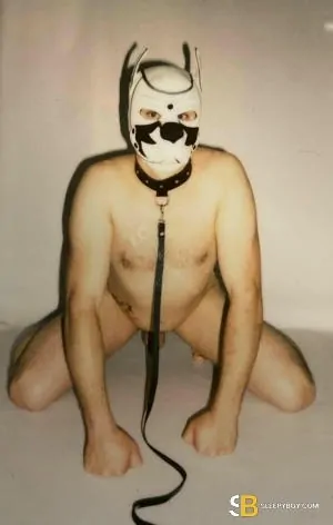 Bisexual Escort Kyle 31yr - secretaries