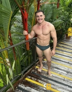 male escort Birmingham Alexandre