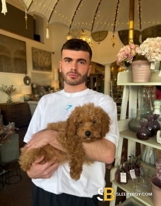 male escort Chester Ashton