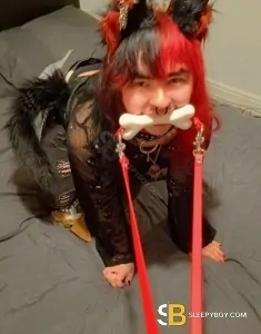 transgender (FTM) escort Caernarfon Pup