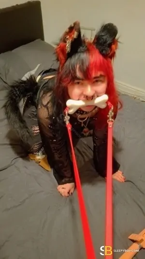 Gay Escort Pup 24yr - blowjob