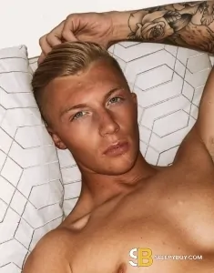 male rent boy Leicester Dylan